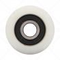 Nylon Roller with Bearing