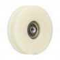 Nylon Door Hanger Roller with M8 Tapped Insert (Flat Track)