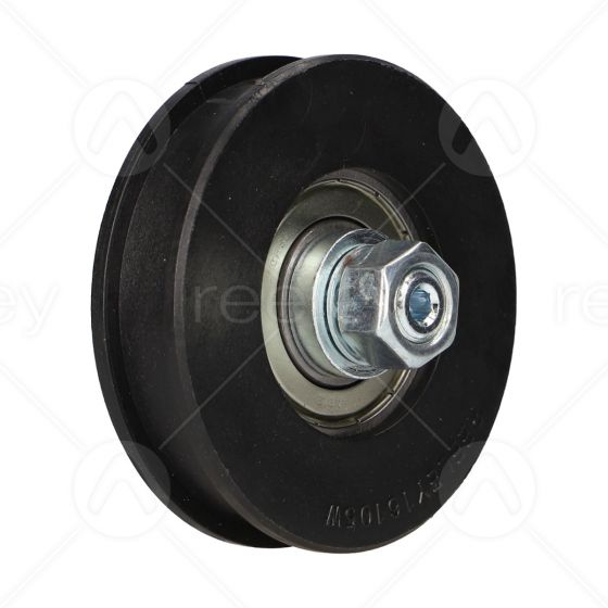 Nylon Car Door Hanger Roller with Concentric Pin (Flat Track)